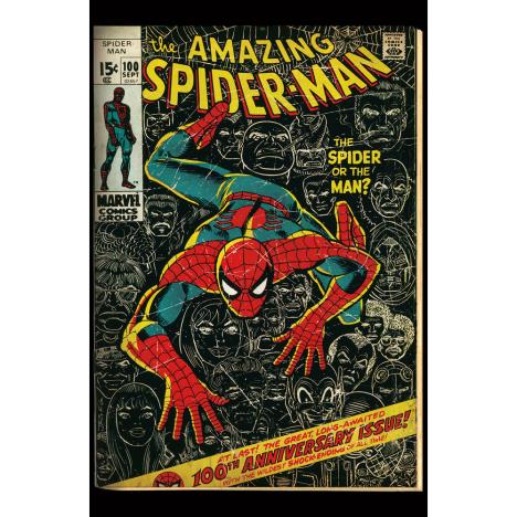 Amazing Spiderman Comic Book Card £2.29